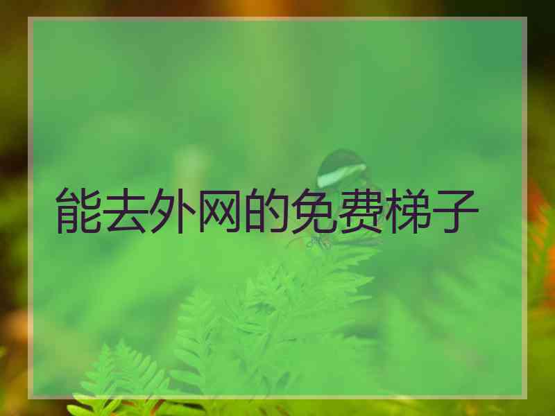 能去外网的免费梯子