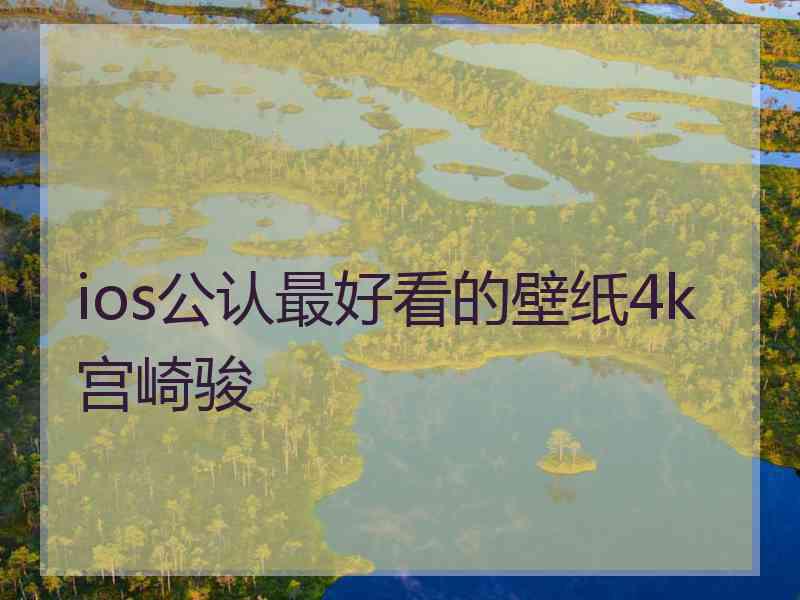 ios公认最好看的壁纸4k宫崎骏