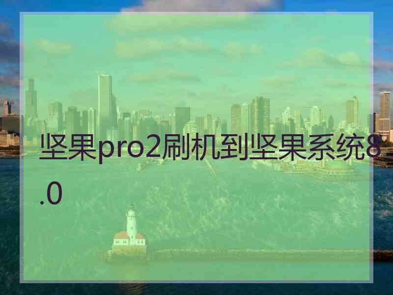 坚果pro2刷机到坚果系统8.0