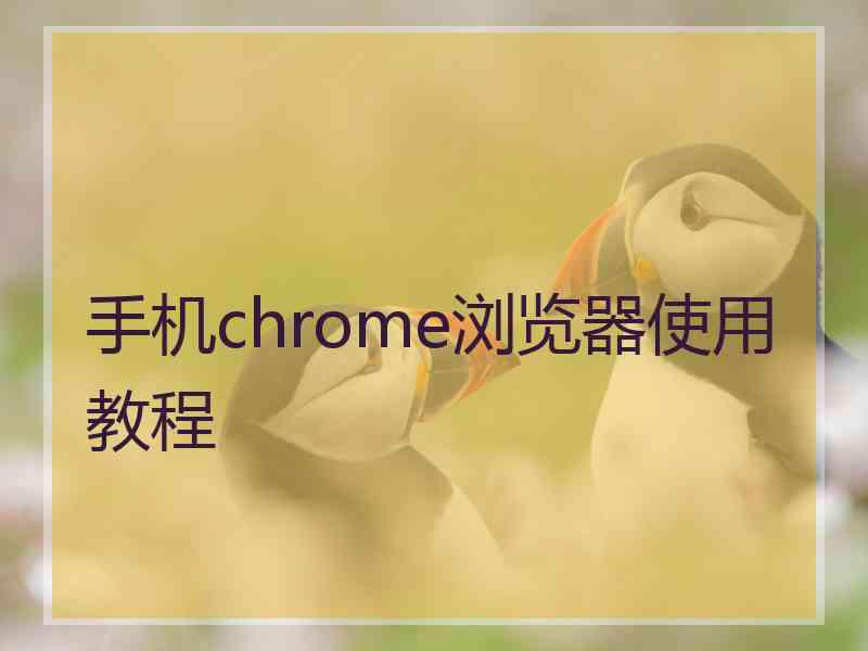 手机chrome浏览器使用教程