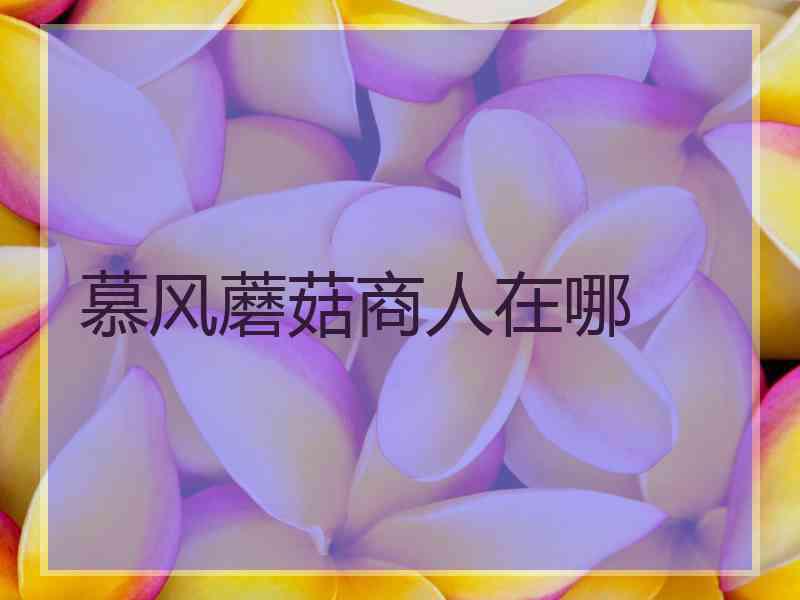 慕风蘑菇商人在哪