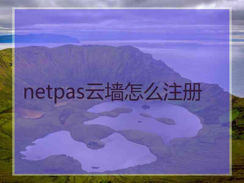 netpas云墙怎么注册