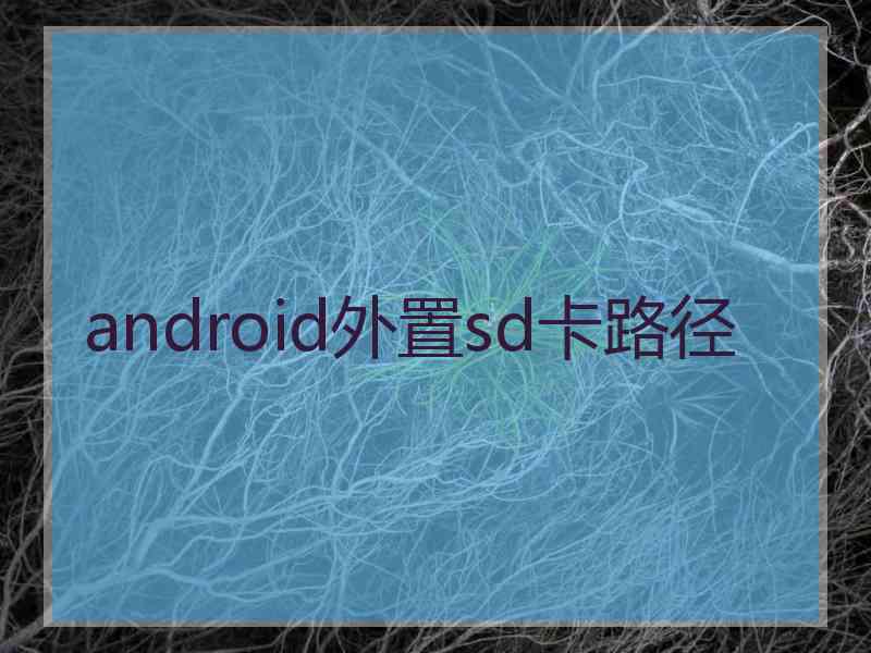 android外置sd卡路径