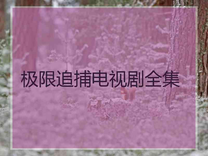 极限追捕电视剧全集