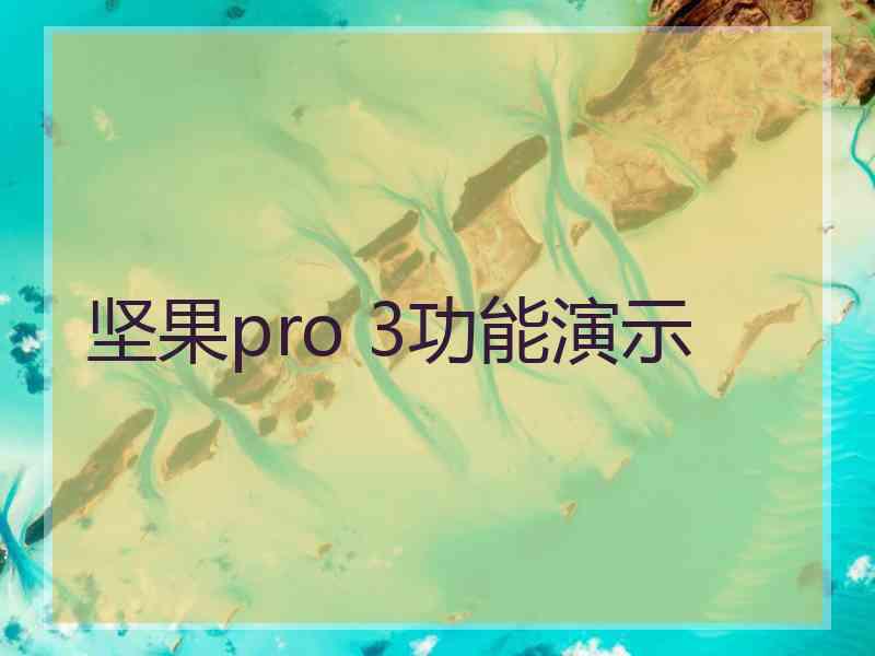 坚果pro 3功能演示