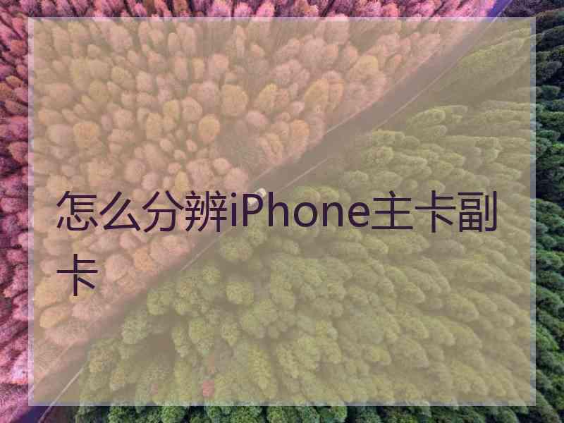 怎么分辨iPhone主卡副卡