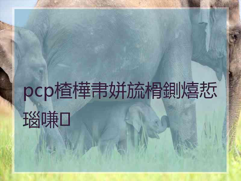 pcp楂樺帇姘旈榾鍘熺悊瑙嗛