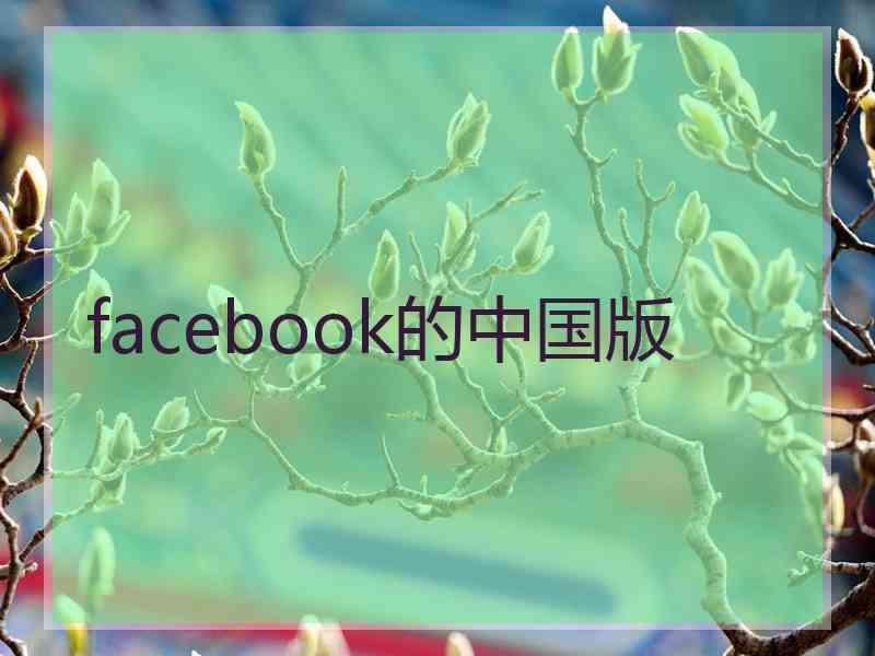 facebook的中国版