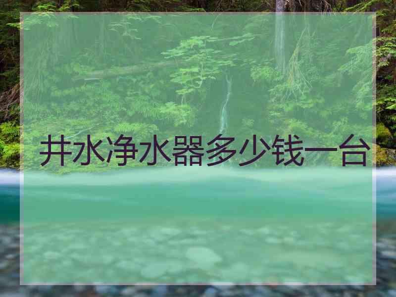 井水净水器多少钱一台