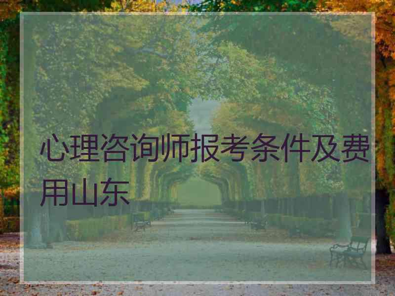 心理咨询师报考条件及费用山东