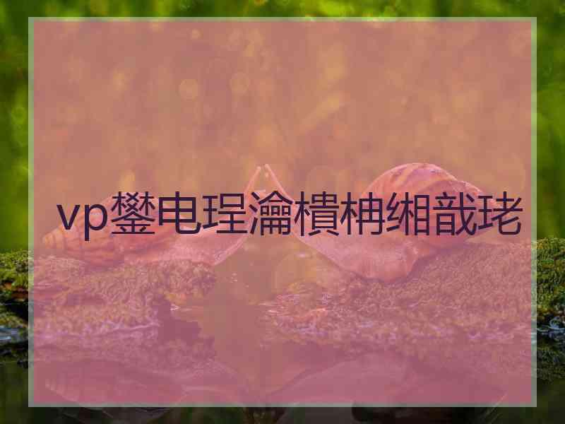 vp鐢电珵瀹樻柟缃戠珯