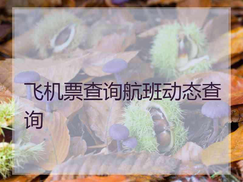 飞机票查询航班动态查询