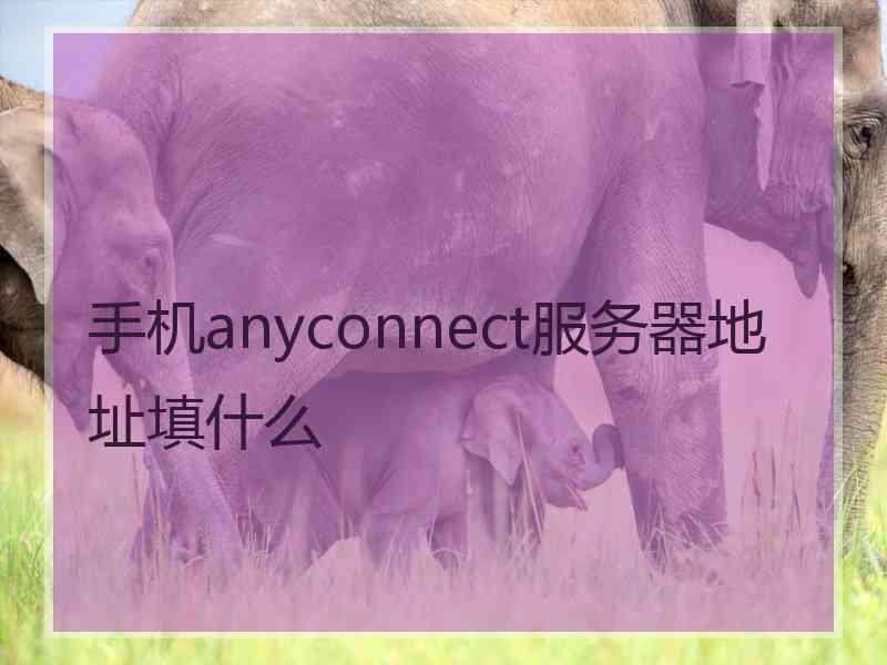 手机anyconnect服务器地址填什么