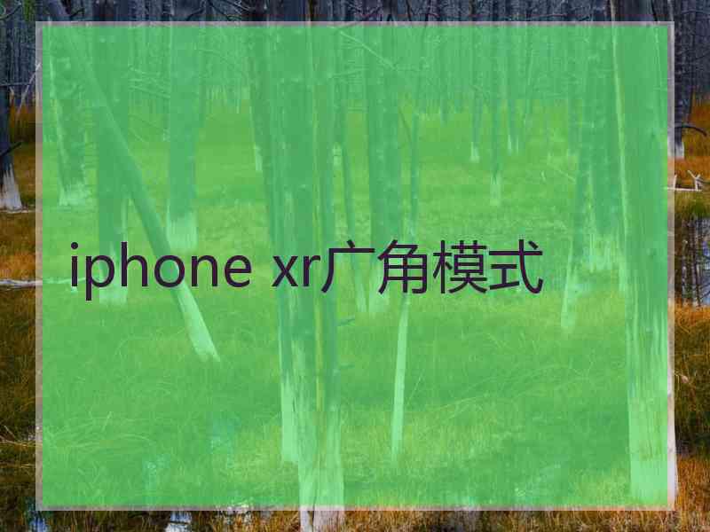 iphone xr广角模式