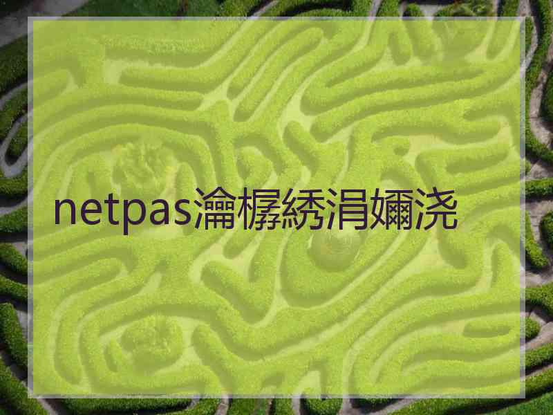 netpas瀹樼綉涓嬭浇