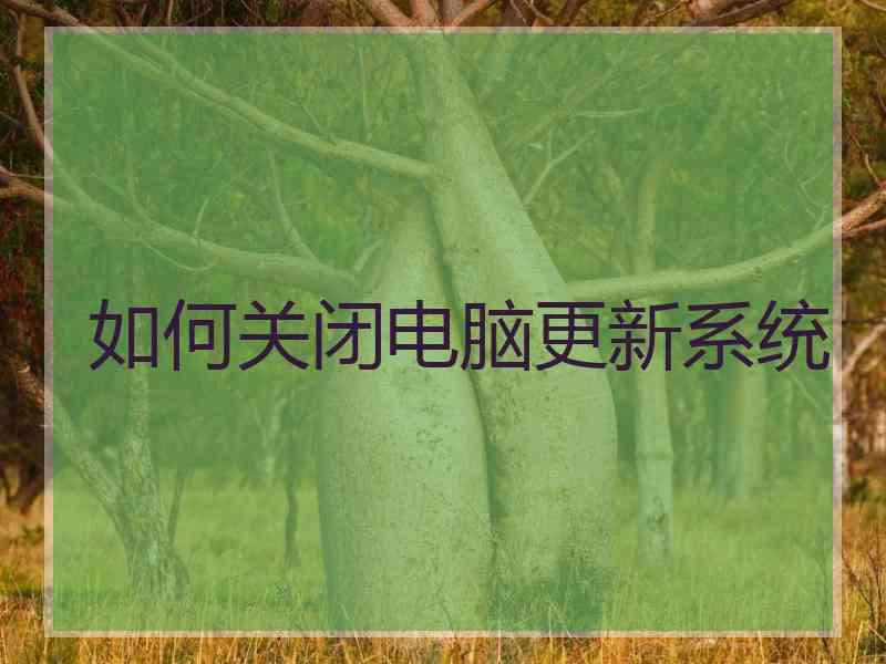 如何关闭电脑更新系统