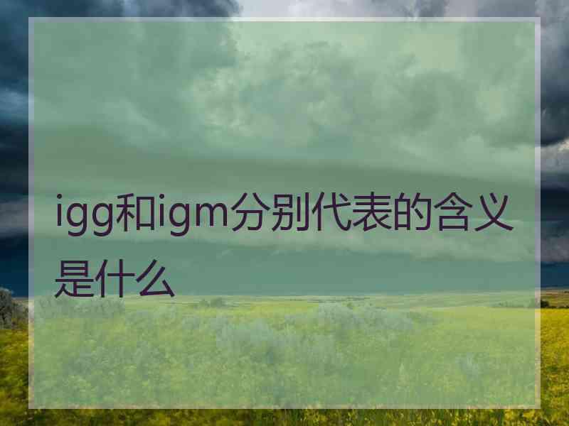 igg和igm分别代表的含义是什么