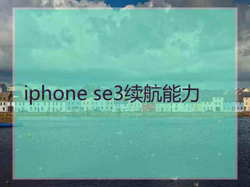 iphone se3续航能力