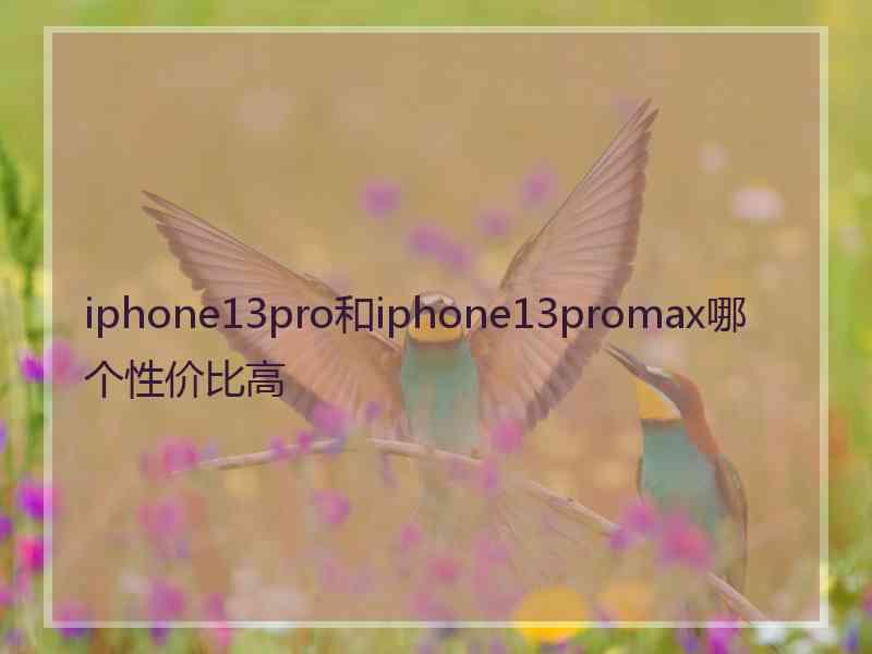 iphone13pro和iphone13promax哪个性价比高