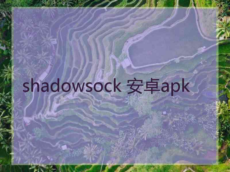 shadowsock 安卓apk