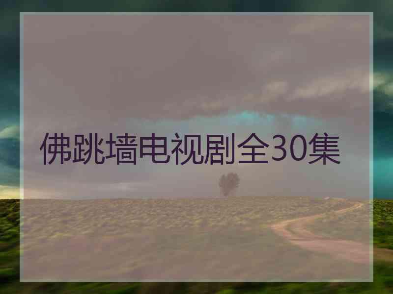 佛跳墙电视剧全30集