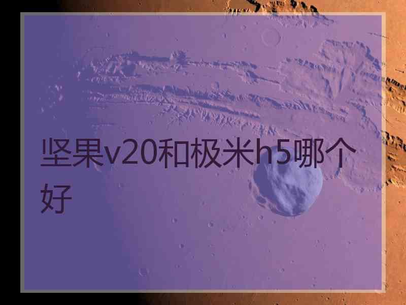 坚果v20和极米h5哪个好