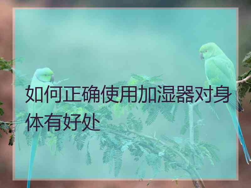 如何正确使用加湿器对身体有好处