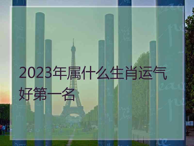 2023年属什么生肖运气好第一名