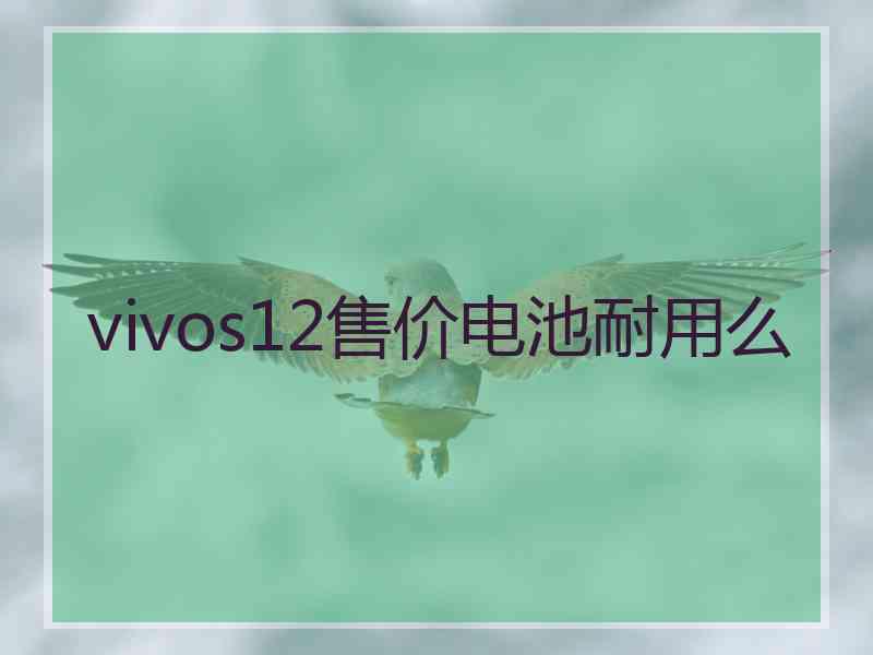 vivos12售价电池耐用么