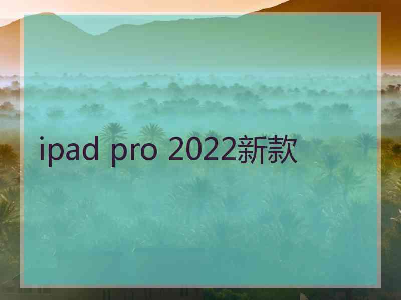 ipad pro 2022新款