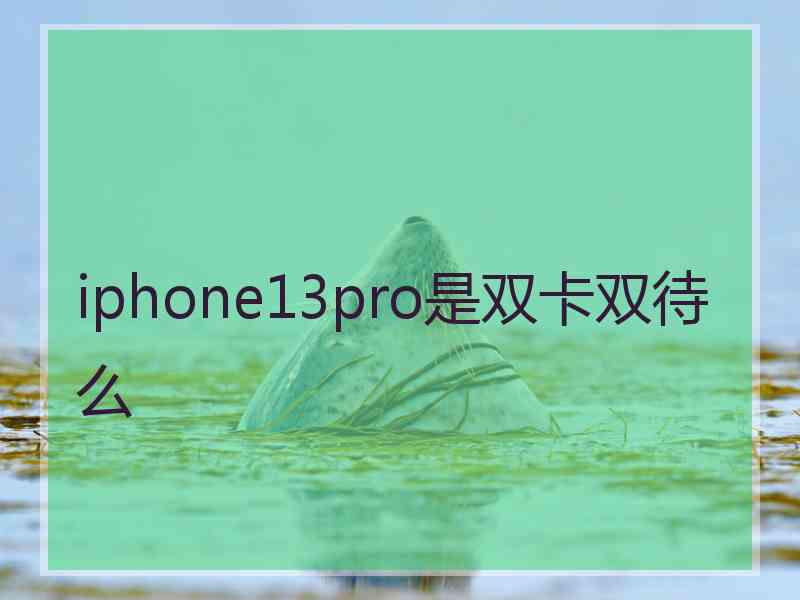 iphone13pro是双卡双待么