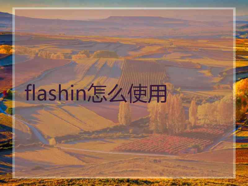 flashin怎么使用