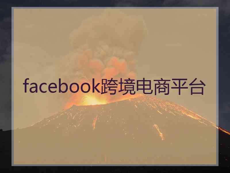 facebook跨境电商平台