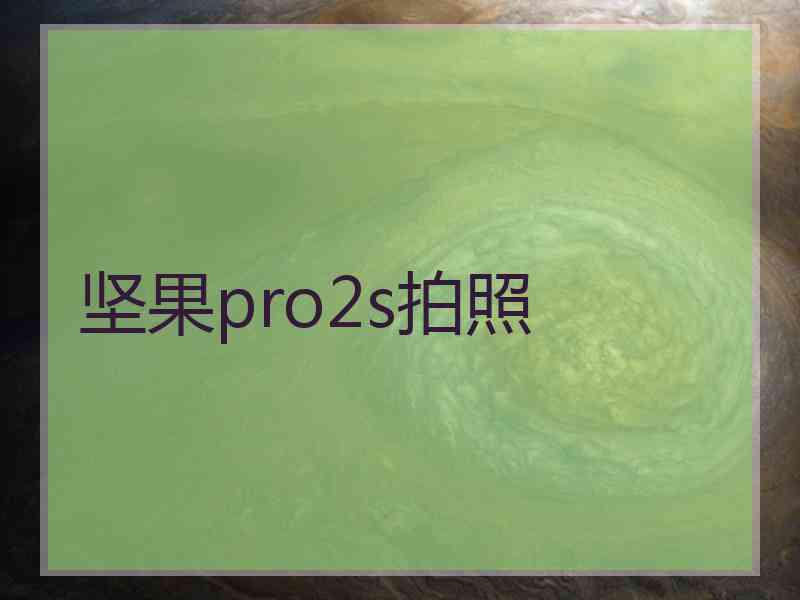 坚果pro2s拍照