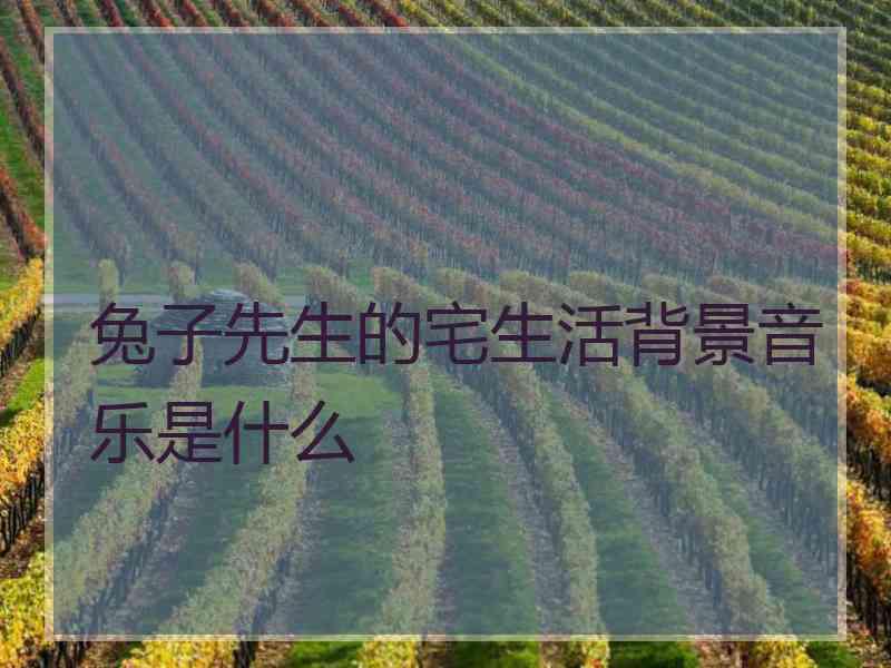 兔子先生的宅生活背景音乐是什么