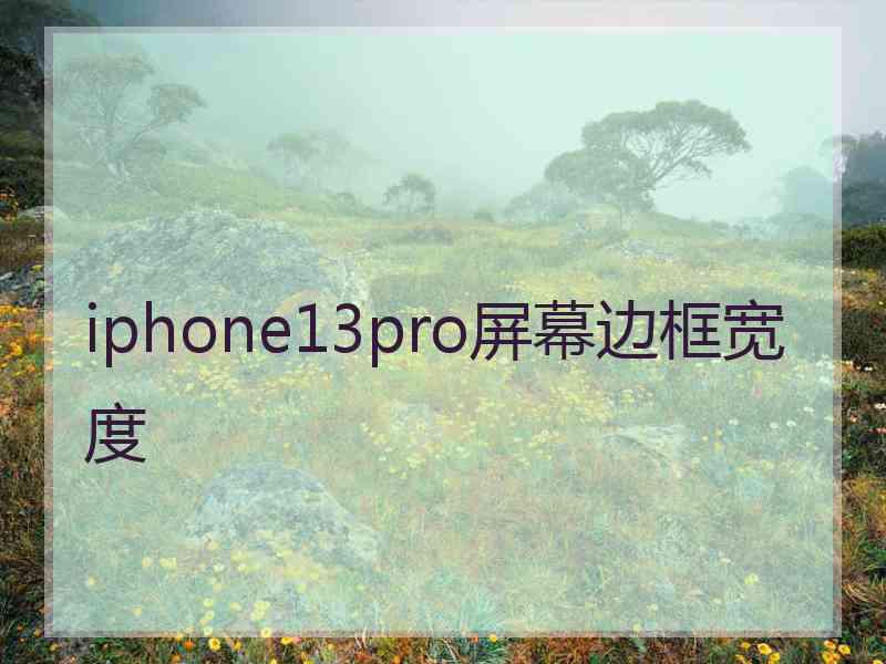 iphone13pro屏幕边框宽度