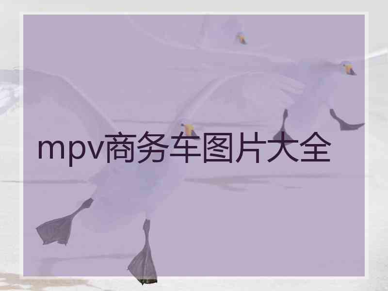 mpv商务车图片大全