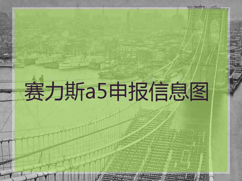 赛力斯a5申报信息图