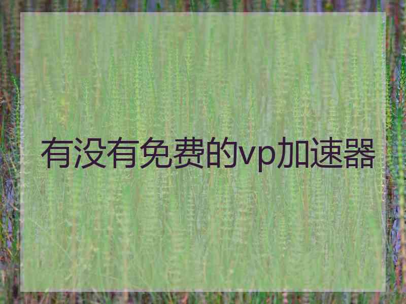 有没有免费的vp加速器