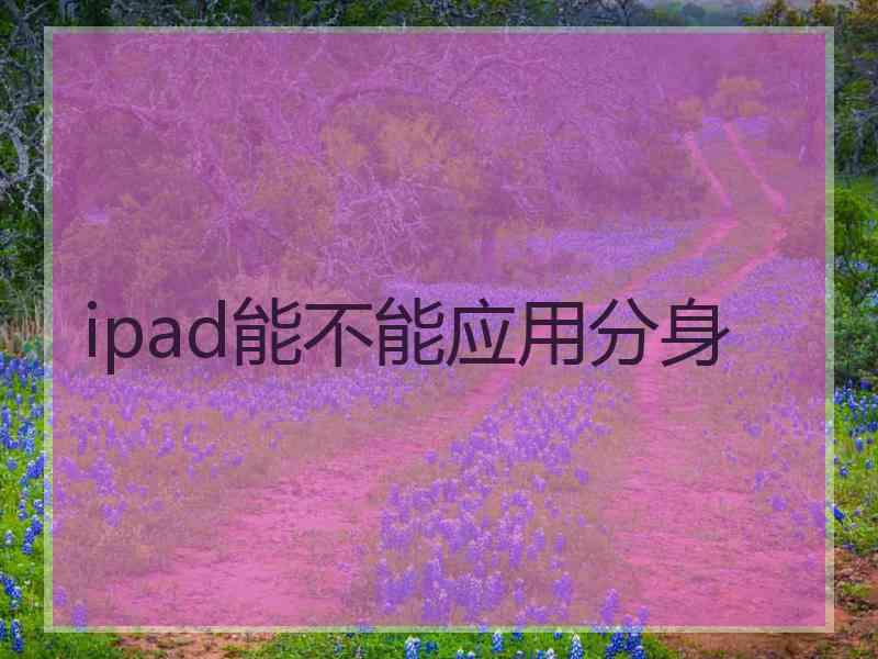 ipad能不能应用分身