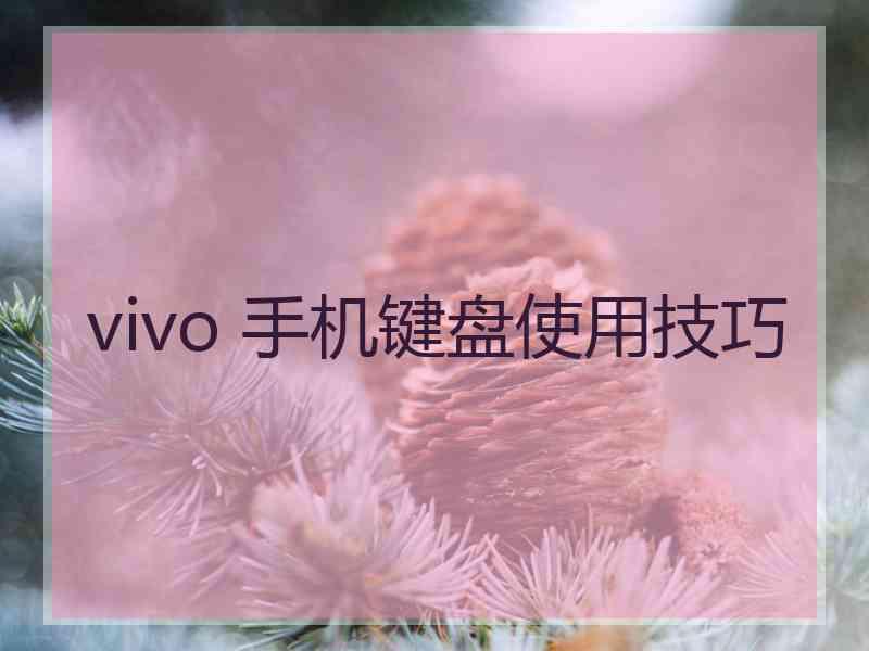 vivo 手机键盘使用技巧