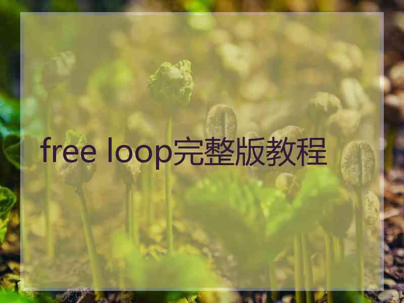 free loop完整版教程