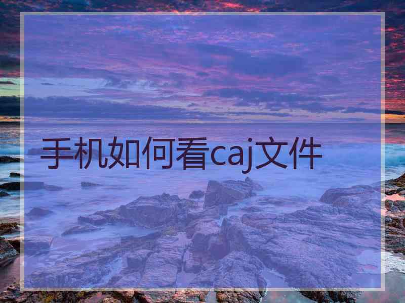 手机如何看caj文件