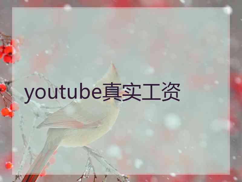 youtube真实工资