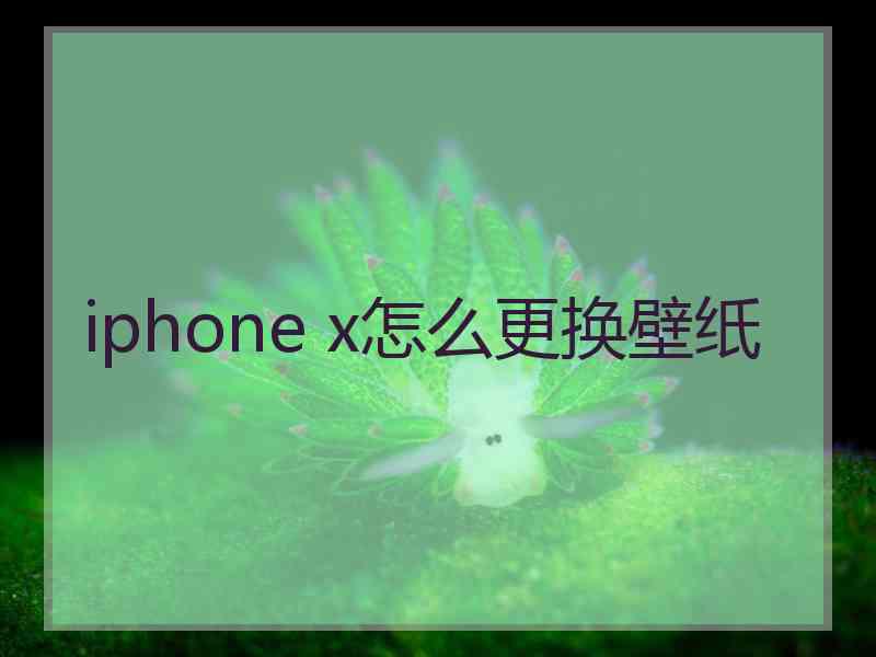 iphone x怎么更换壁纸