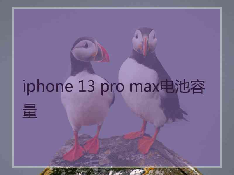 iphone 13 pro max电池容量