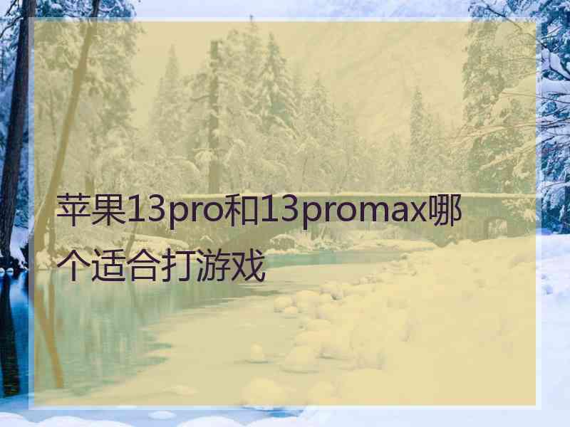 苹果13pro和13promax哪个适合打游戏