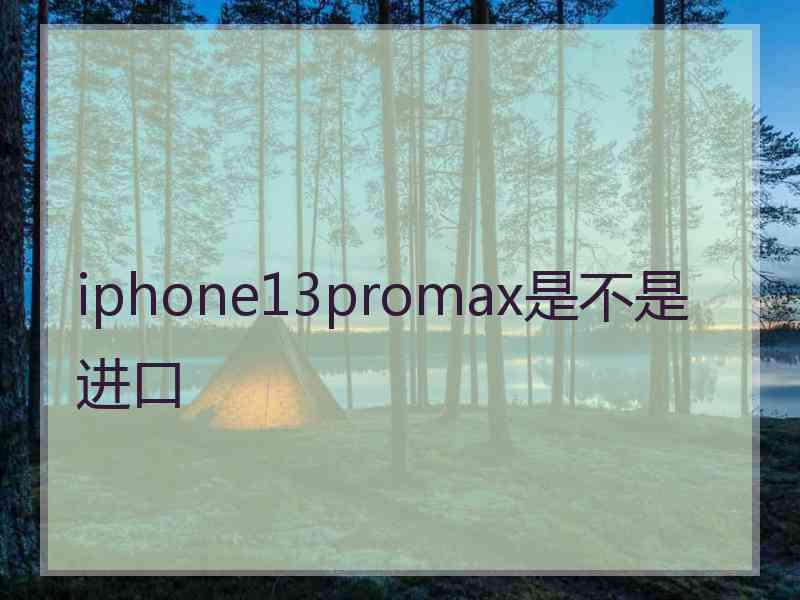 iphone13promax是不是进口