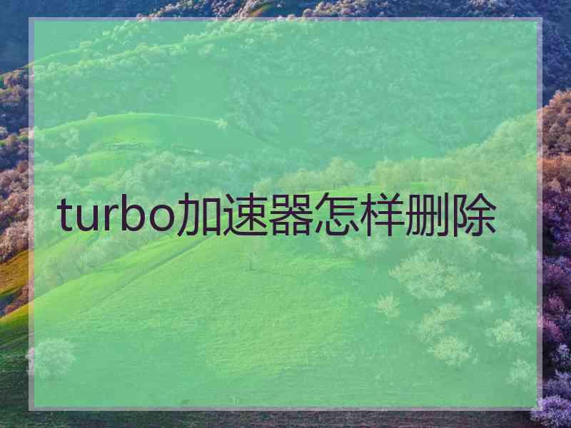 turbo加速器怎样删除