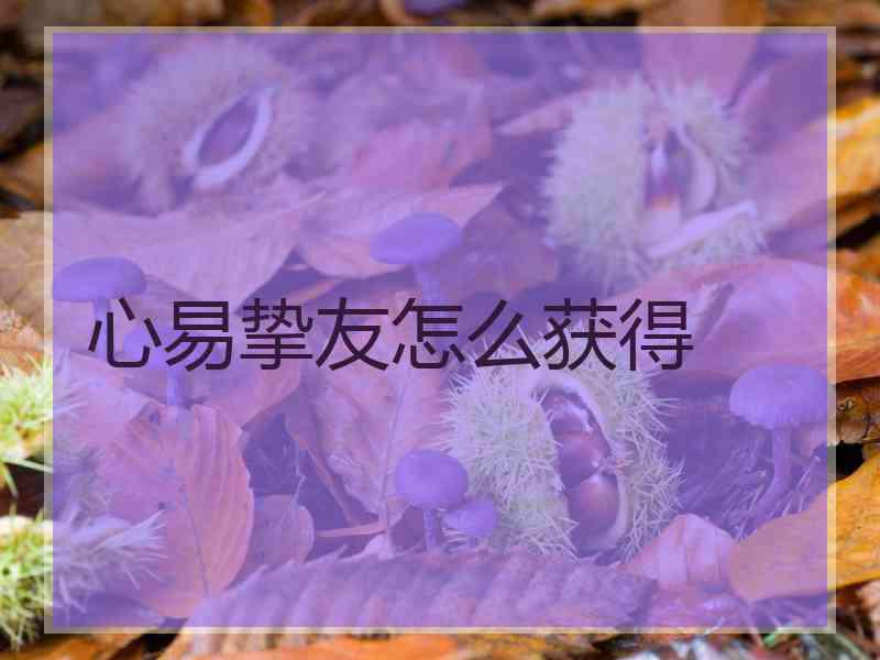 心易挚友怎么获得